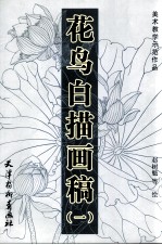 花鸟白描画稿 1