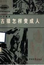 青年科学普及读物 古猿怎样变成人