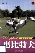 惠比特犬 离弦之箭