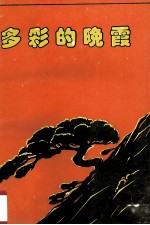多彩的晚霞