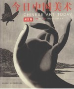 今日中国美术 展览卷