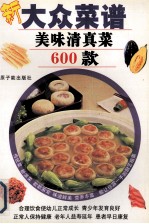美味清真菜600款