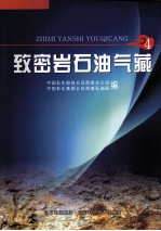致密岩石油气藏 4