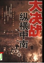 纵横中南 长篇战争纪实文学