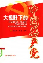 大视野下的中国共产党