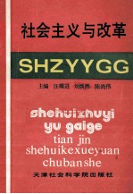 社会主义与改革