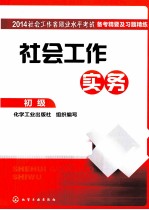 社会工作实务 初级