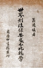 世界刑法保安处分比较学