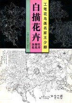 工笔花鸟画名家王少卿白描花卉 牡丹 菊花 杂花