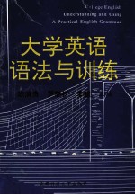大学英语语法与训练