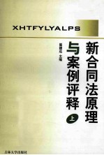 新合同法原理与案例评释 上