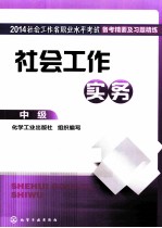 社会工作实务 中级