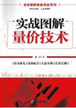 实战图解量价技术