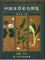 中国本草彩色图鉴 中英文本 草药篇 第5卷