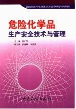 危险化学品生产安全技术与管理 危险化学品生产单位主要负责人及安全管理人员岗位培训教材