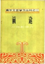 前途 小说和评价