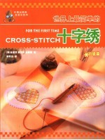 世界上最简单的十字绣 初级篇