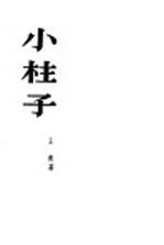 小柱子 小说选集