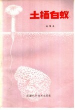 土栖白蚁