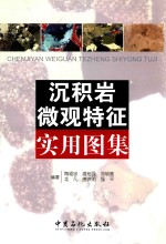 沉积岩微观特征实用图集