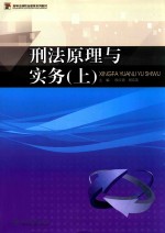 刑法学原理与实务 上