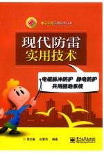 现代防雷实用技术 电磁脉冲防护、静电防护、共用接地系统