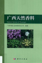 广西天然香料