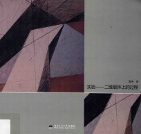 实验 二维载体上的过程