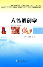 人体解剖学 供临床医学、口腔医学、影像医学、医学检验、中医学药学类、护理学类等专业使用