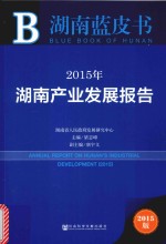 2015年湖南产业发展报告 2015 2015版