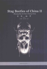 中华锹甲 2