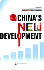 中国新发展 2013 英