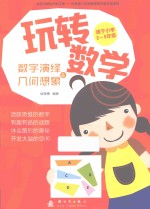 玩转数学 数字演绎和几何想象