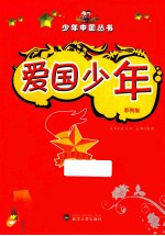 爱国少年 彩图版