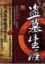 盗墓生涯