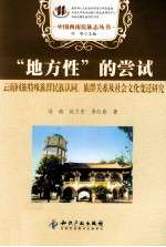 地方性的尝试 云南回族特殊族群民族认同、族群关系及社会文化变迁研究