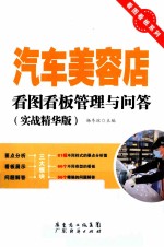 汽车美容店看图看板管理与问答 实战精华版