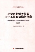 小型企业财务报表审计工作底稿编制指南 适用于审计执行企业会计准则的小企企业