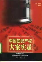 中国知识产权大案实录