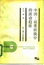 中国：双重转换中的波动趋势