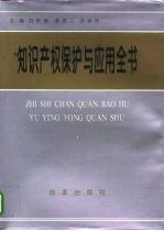 知识产权保护与应用全书