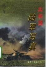共和国陆军写真