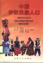 中国少数民族人口