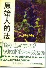 原始人的法