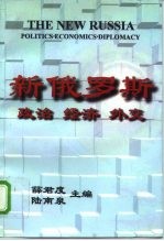 新俄罗斯 政治·经济·外交