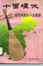 十面埋伏 当代中国的十大困惑