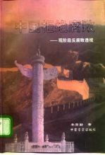 中国拒绝腐败 现阶段反腐败透视