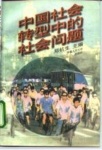 中国社会转型中的社会问题