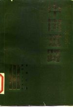 幻想与现实:中国道路 中国社会主义从空想到现实的历史发展