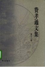 费孝通文集 第12卷 1990-1993